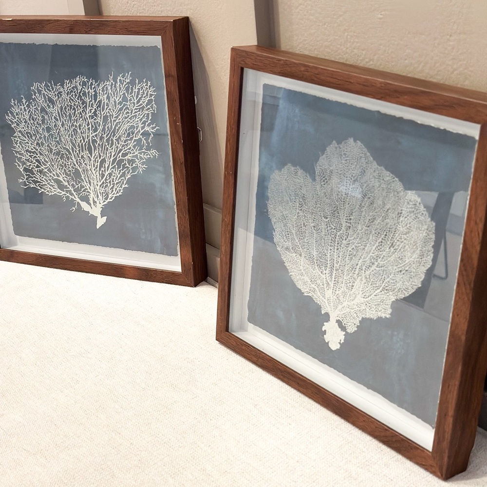 Marmont Hill Framed Coral Art Prints